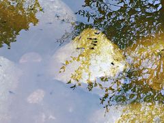 -石棉县孟获城