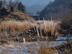 -楠溪江石桅岩