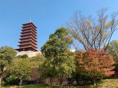 -牛首山文化旅游区