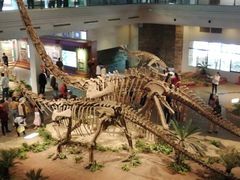 -自贡恐龙博物馆