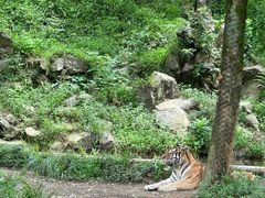 -杭州野生动物世界