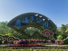 -南海子公园