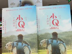 -天幕新彩云国际影城(激光巨幕店)