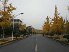 -浙江农林大学(东湖校区)