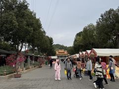 -仙岳公园