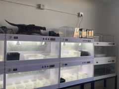 -灵龟之家百象馆(百象馆联合旗舰店)