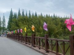 -黄海国家森林公园