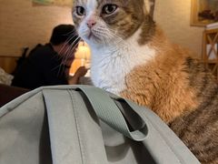 -隅cafe(傅厚岗店)