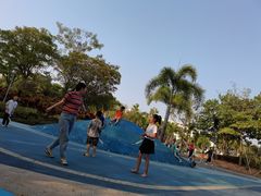 -宝安西湾红树林湿地公园