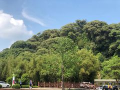 -广州市石门国家森林公园