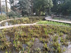 -成都市活水公园