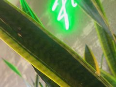 -范儿·嫂子烤肉·精致炭火烤肉(长治路店)