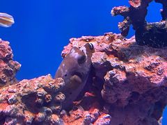 -石家庄市动物园