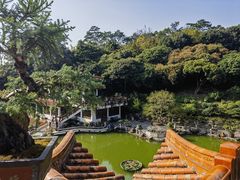 -深圳仙湖植物园