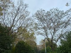 -上海市保健医疗中心