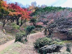-岚山猴子公园