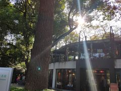 -申粤轩酒楼·三十年粤菜经典(丁香花园店)