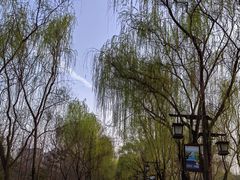 -西安汉城湖景区