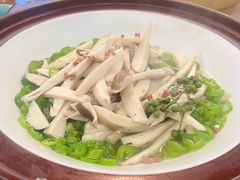 -鲜菌江湖正宗野生菌火锅
