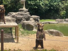 -杭州野生动物世界