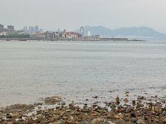 -小麦岛公园