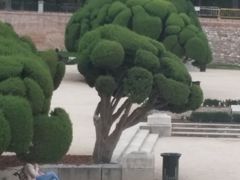 -丽池公园