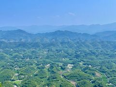 -蜀南竹海景区