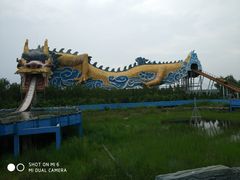 -太阳部落