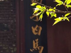 -洛阳白马寺