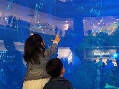 -成都浩海立方海洋公园