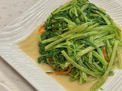 空心菜-四海之家(蛇口店)