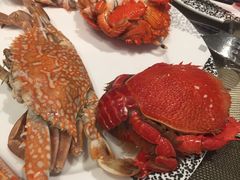 -西藏饭店·亚克·食光自助餐厅(文殊院店)