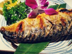 -酒井酱子·深夜食堂(东城汇店)