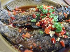 -昆虫窝子·特色云南菜(拓东路总店)