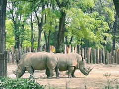 -北京野生动物园