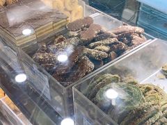 -上海哈尔滨食品厂(汇联商厦店)