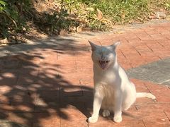 -深圳湾万象城(南山店)