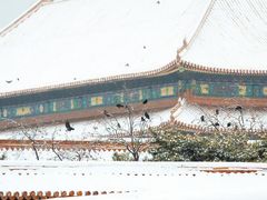 -故宫博物院(故宫)