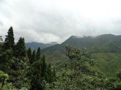 -灵栖洞天
