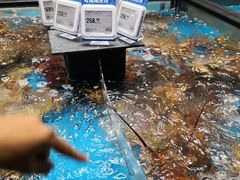 -盒马鲜生(王府广场店)