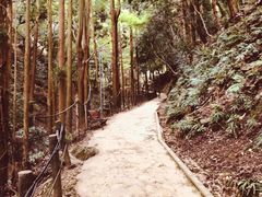 -岚山猴子公园