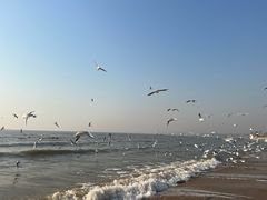 -老虎石海上公园