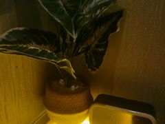-禧瑞 ·丝浴主题·水疗·spa(中山公园店)