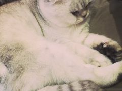 -MIKAKU(万达广场上海宝山店)