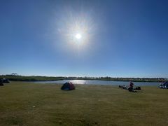 -春花秋色城市公园