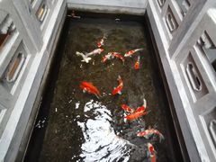 -鲤院·新中式美学·庭院餐厅(夫子庙店)