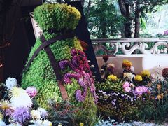 -杭州植物园