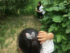 时令有机蔬菜及野菜-武汉世外桃源农庄