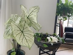 -悟空心理咨询