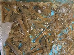 -钱山海鲜大排档